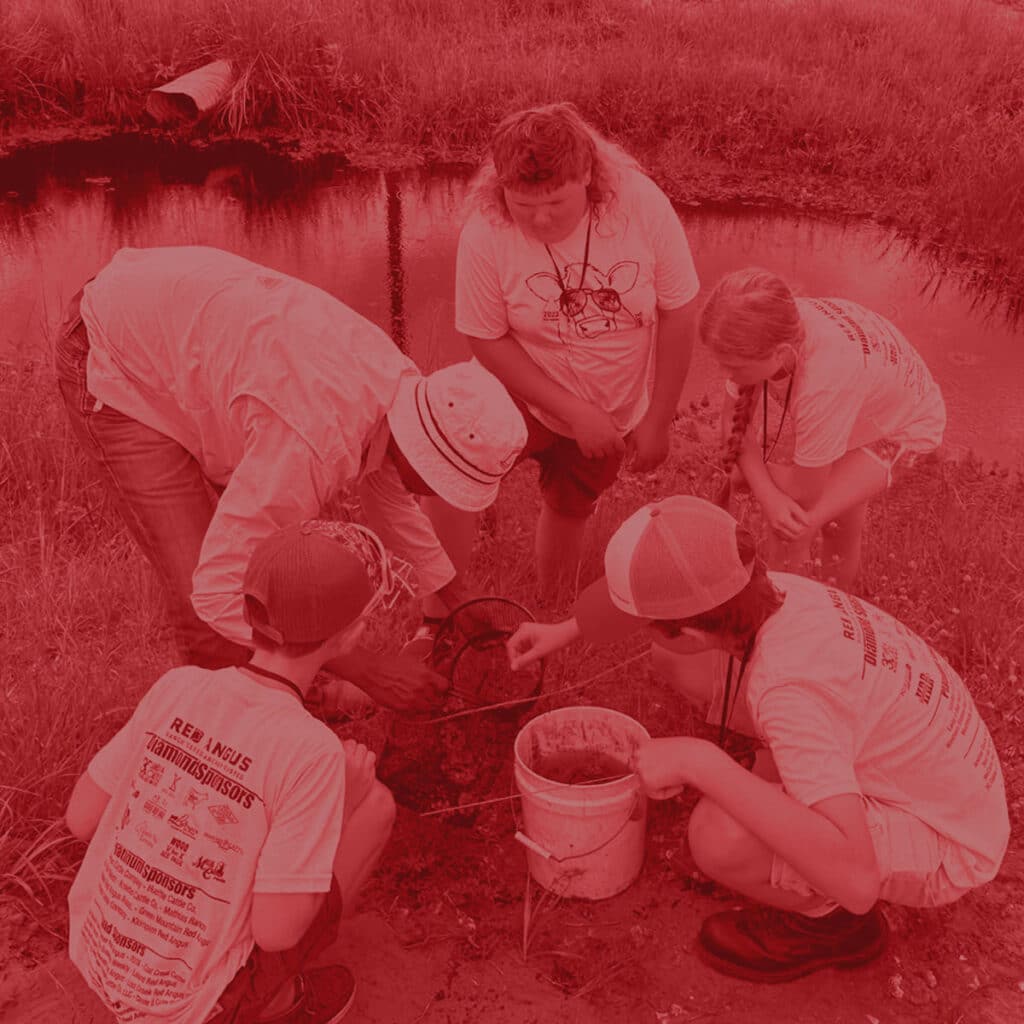 A group of children and an adult gather near a pond, examining something on the ground with a net and a white bucket.